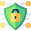 Information Security VA& PT